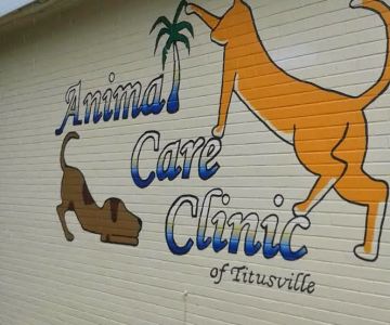 Animal Care Clinic of Titusville