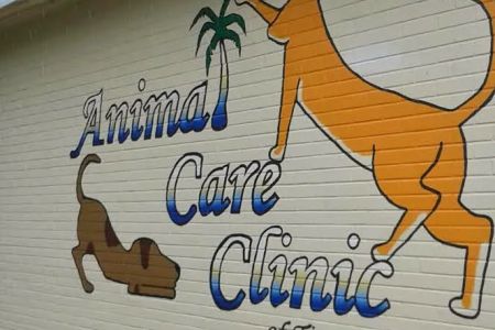Animal Care Clinic of Titusville