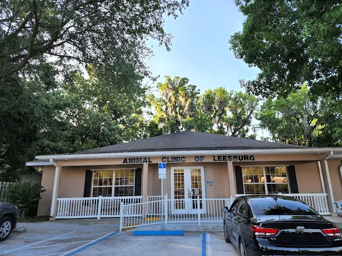 Animal Clinic of Leesburg 12