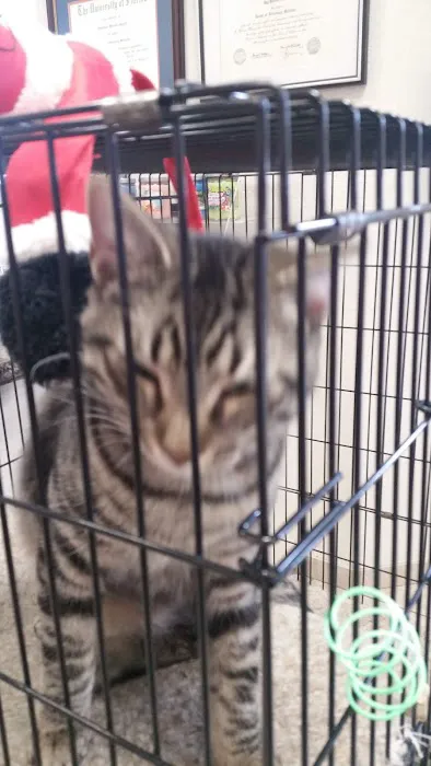 Animal Clinic of Leesburg 12