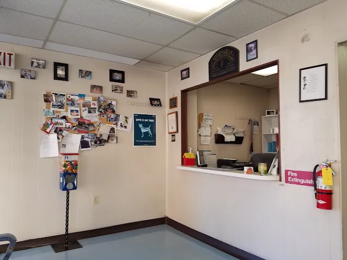 Animal Care Center of Wildwood 6