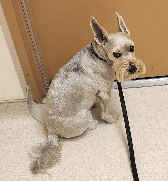 Jumper Creek Veterinary Clinic 9