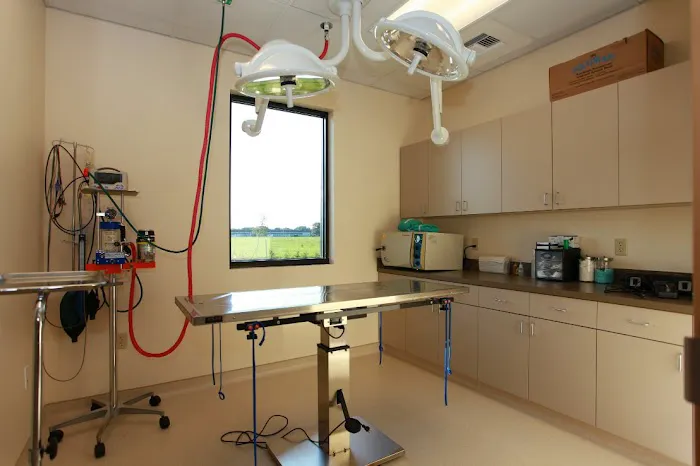 Jumper Creek Veterinary Clinic 5
