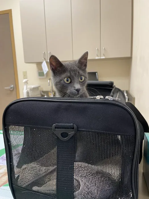 Jumper Creek Veterinary Clinic 10