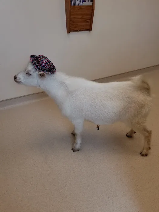 Jumper Creek Veterinary Clinic 6