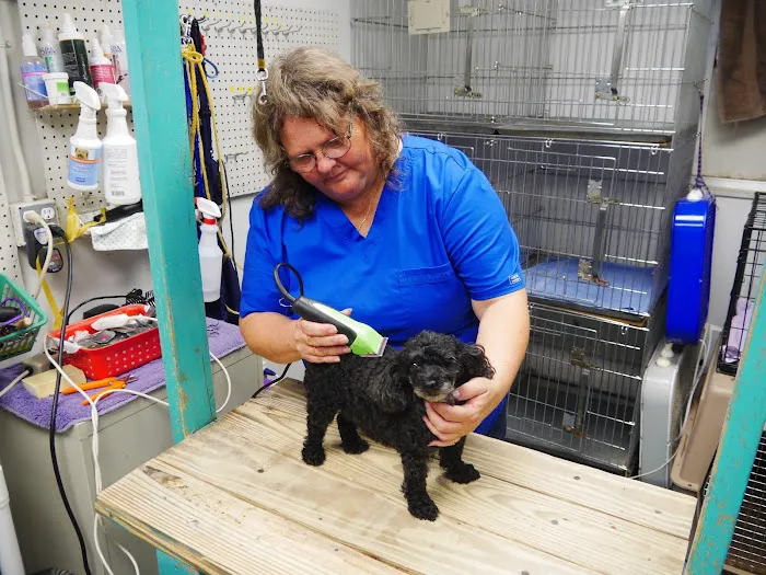 Bushnell Animal Clinic 5