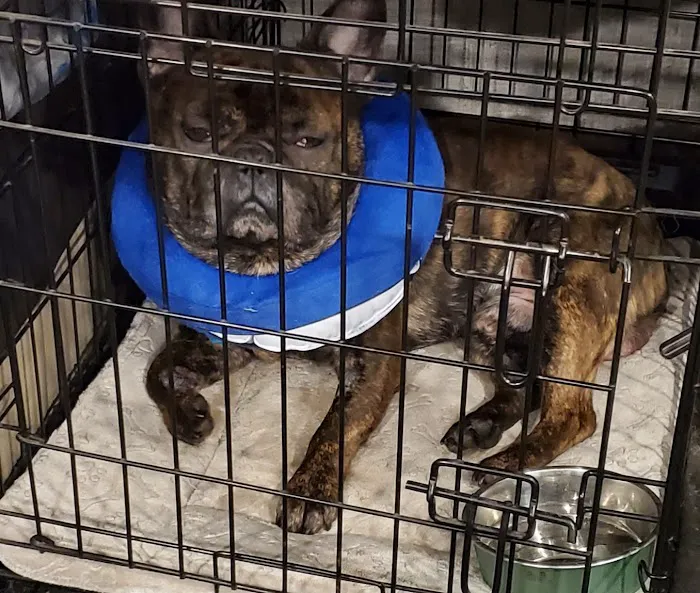 Bushnell Animal Clinic 9