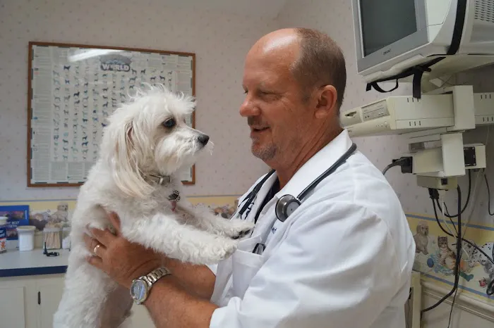 Heart of Florida Animal Hospital & Pet Resort 12
