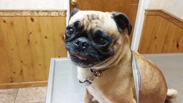 Umatilla Animal Hospital 3