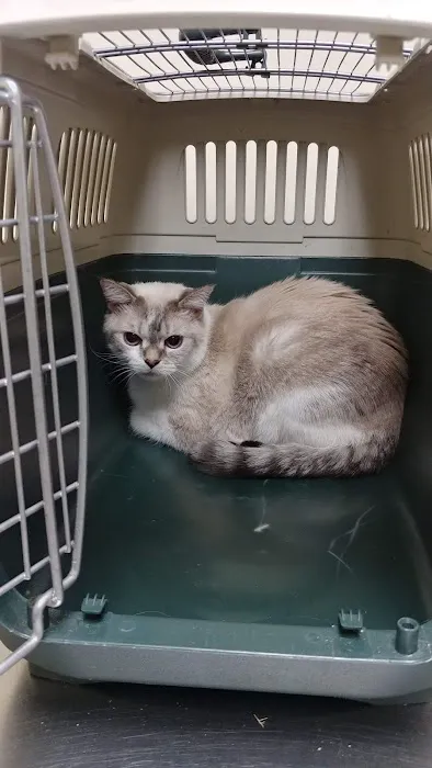 Umatilla Animal Hospital 4
