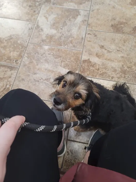 Umatilla Animal Hospital 9