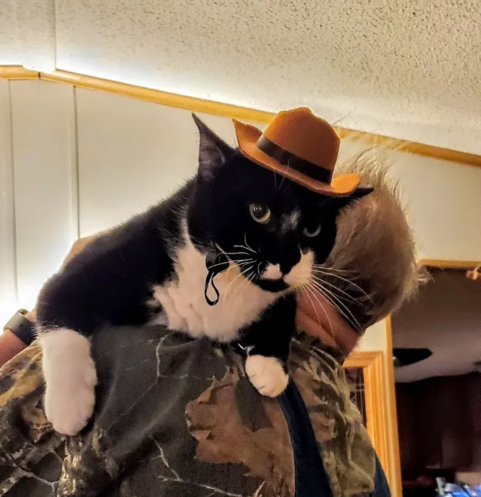 Umatilla Animal Hospital 6