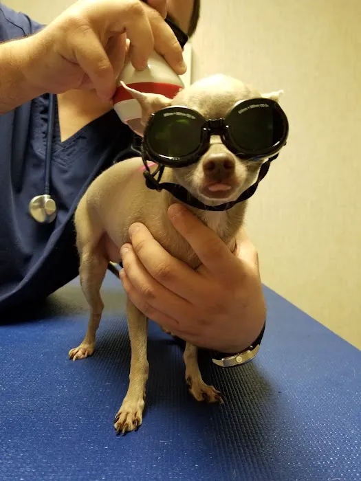 Animal Clinic of Lady Lake 12