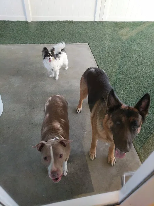 Colony Plaza Animal Hospital 6