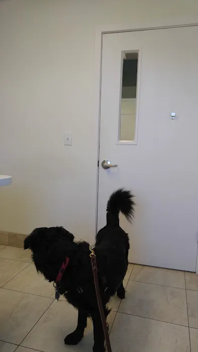 Colony Plaza Animal Hospital 3