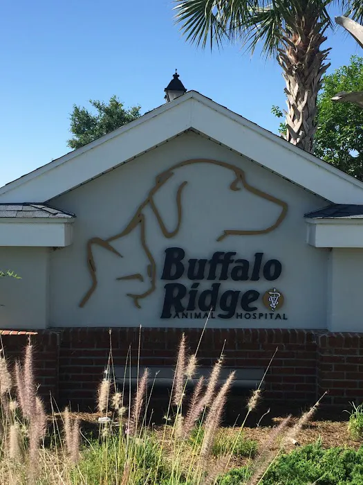 VCA Buffalo Ridge Animal Hospital 12