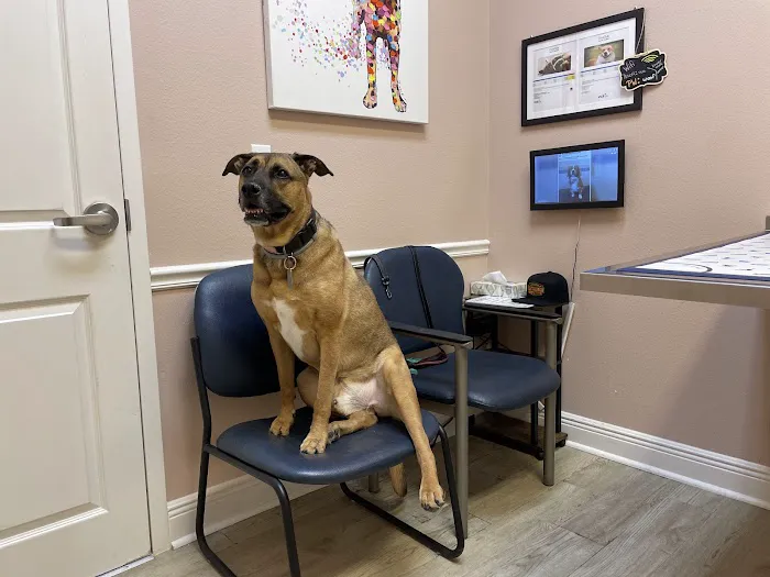 VCA Buffalo Ridge Animal Hospital 12