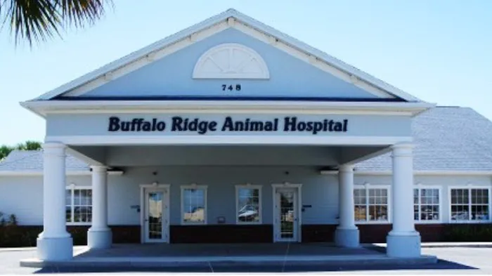 VCA Buffalo Ridge Animal Hospital 12