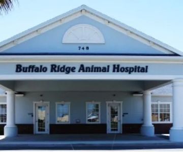 VCA Buffalo Ridge Animal Hospital