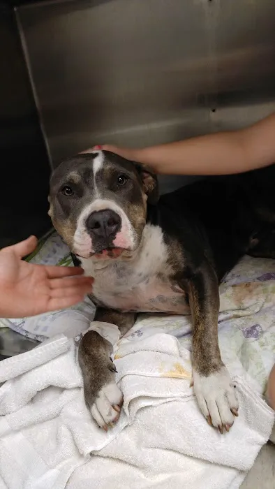 Outback Animal Clinic 4