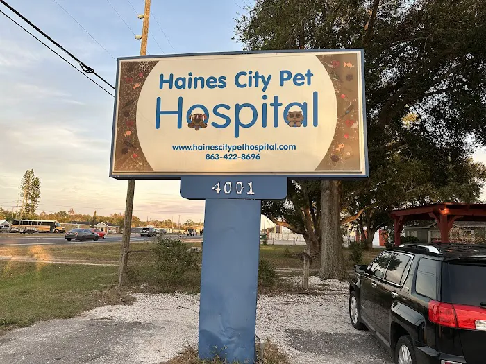 Haines City Pet Hospital 12