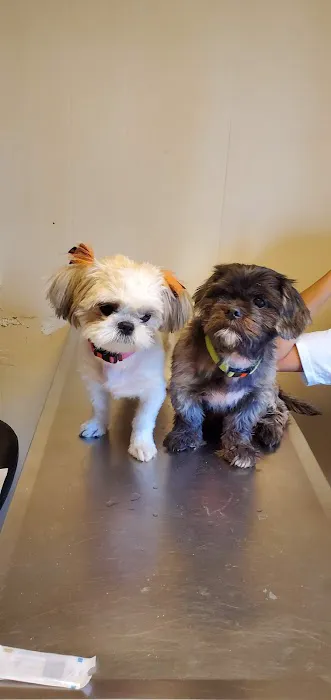 Haines City Pet Hospital 12