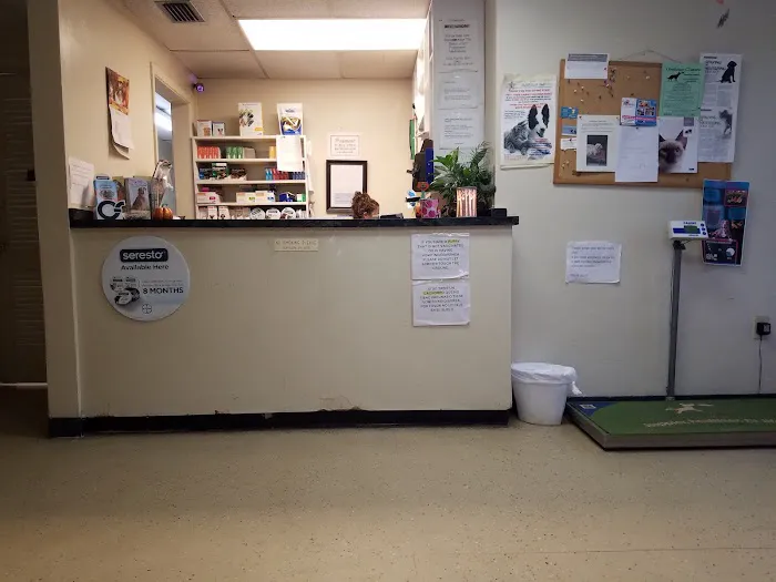 Haines City Pet Hospital 12