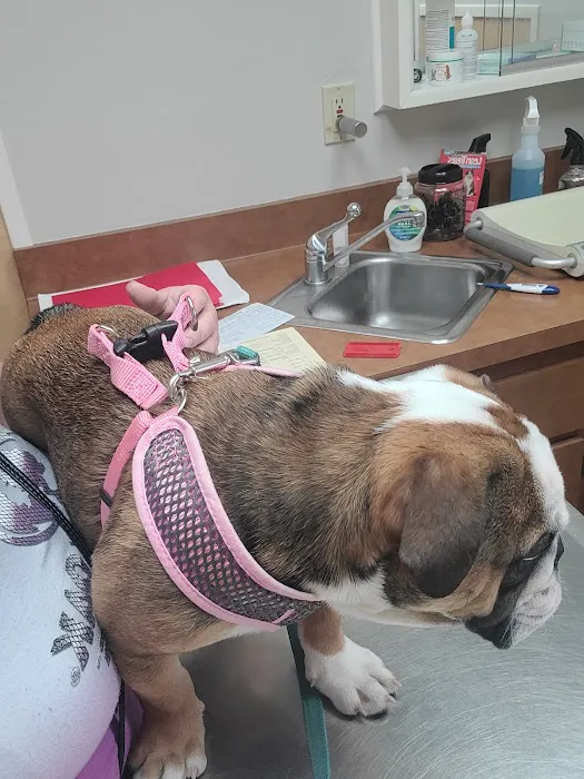 Auburndale Veterinary Clinic 4
