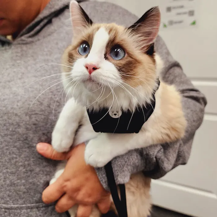 Clinica veterinaria 12