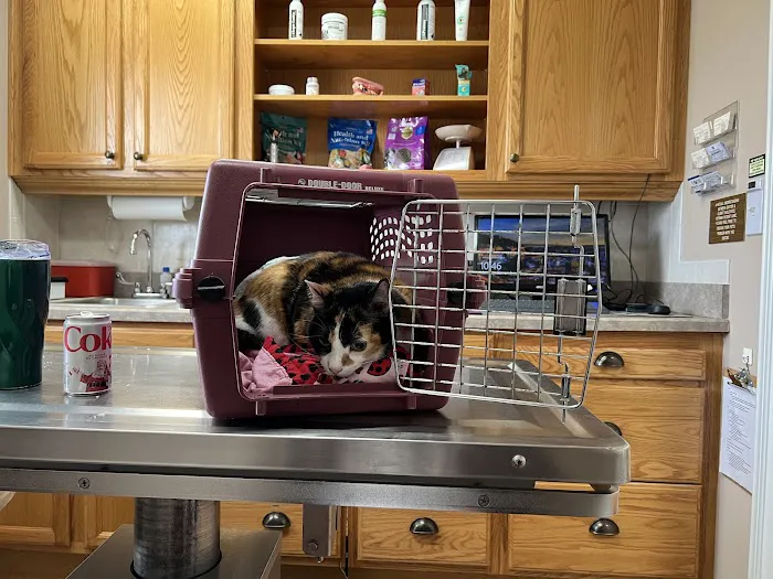St Cloud Veterinary Clinic 9