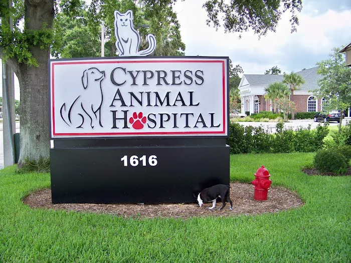 Cypress Animal Hospital 12