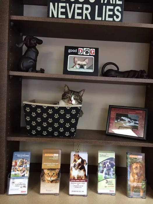 Cypress Animal Hospital 12