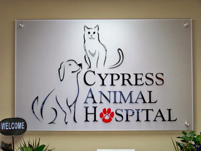 Cypress Animal Hospital 12