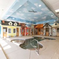 Orchid Springs Animal Hospital ico