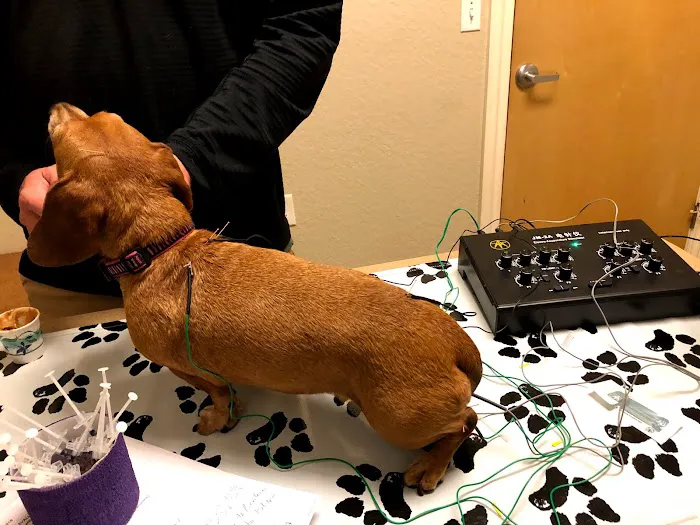 Orchid Springs Animal Hospital 2