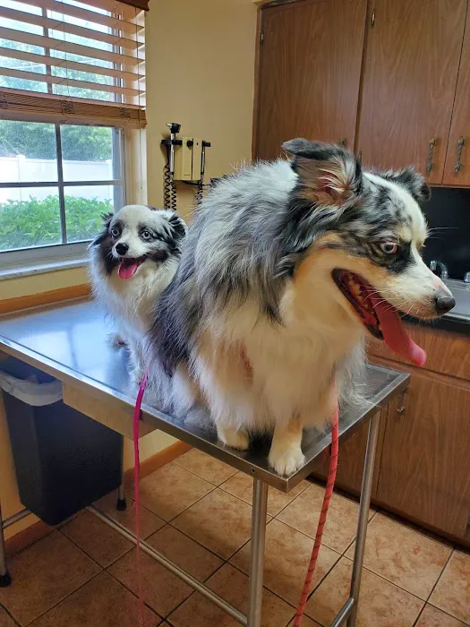 Garden Grove Animal Hospital 3