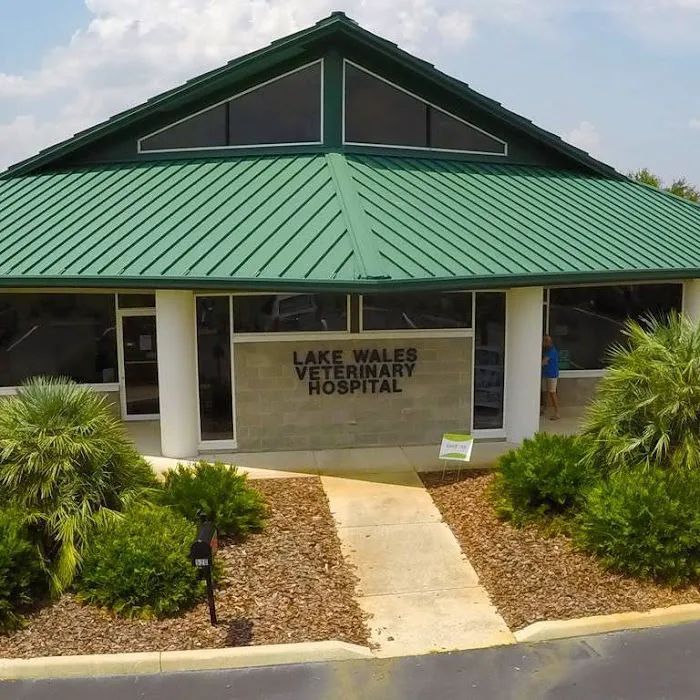 VCA Lake Wales Animal Hospital 12