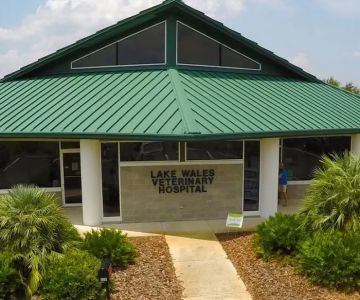 VCA Lake Wales Animal Hospital