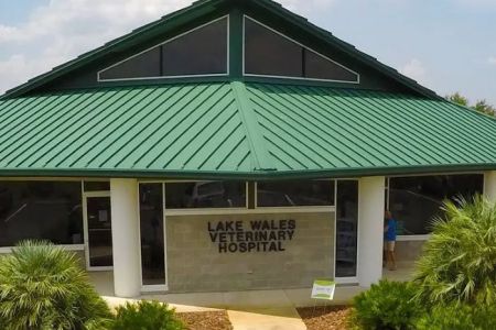 VCA Lake Wales Animal Hospital