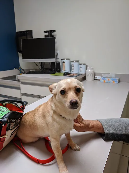 VCA Lake Wales Animal Hospital 12