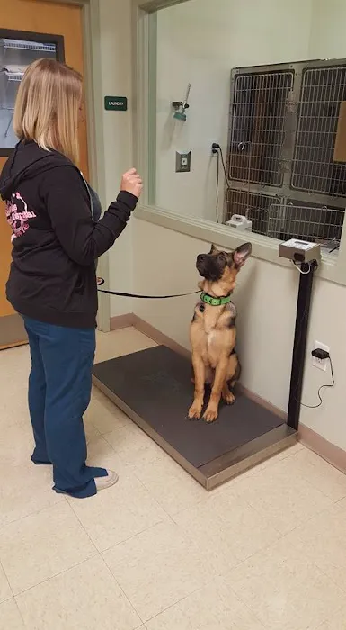 VCA Lake Wales Animal Hospital 12