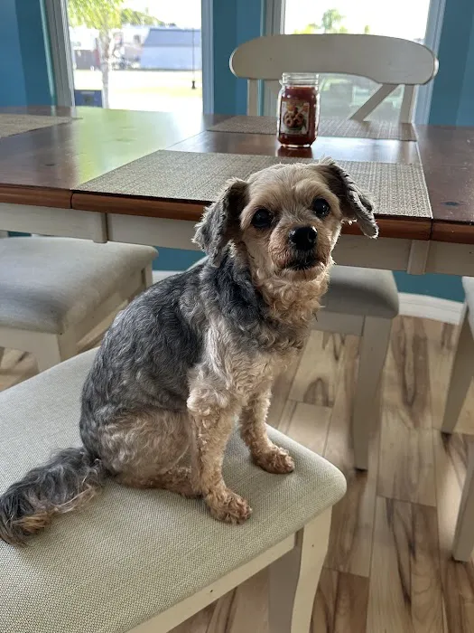 VCA Lake Wales Animal Hospital 12