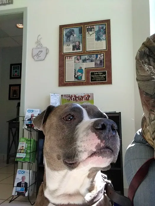 VCA Lake Wales Animal Hospital 12