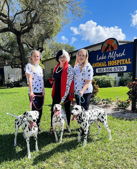 Lake Alfred Animal Hospital 12
