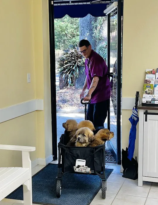Lake Alfred Animal Hospital 12