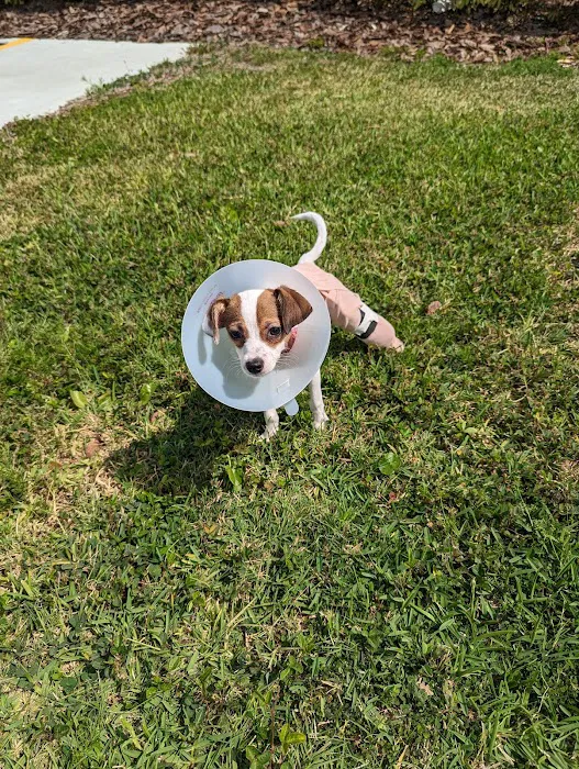 Compassion Animal Hospital 8