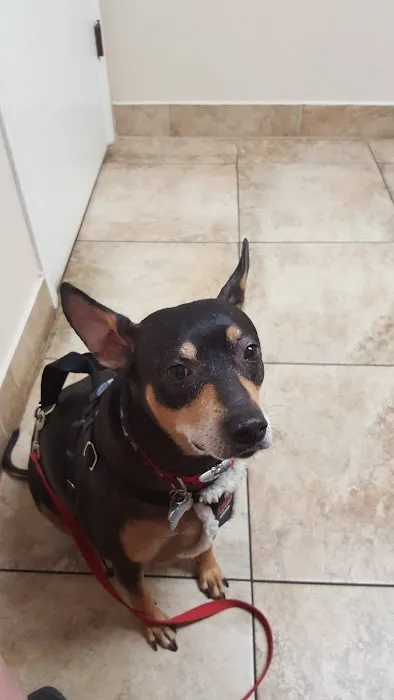 Dunham Animal Hospital 12