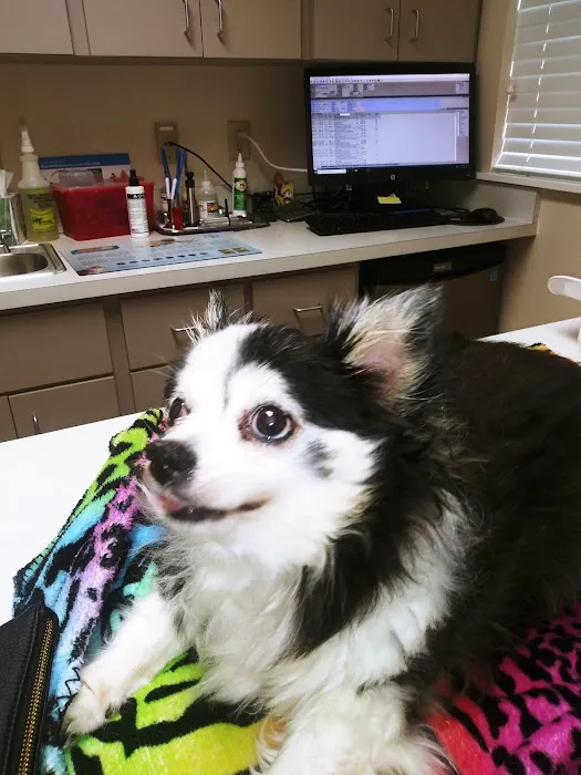 Dunham Animal Hospital 12