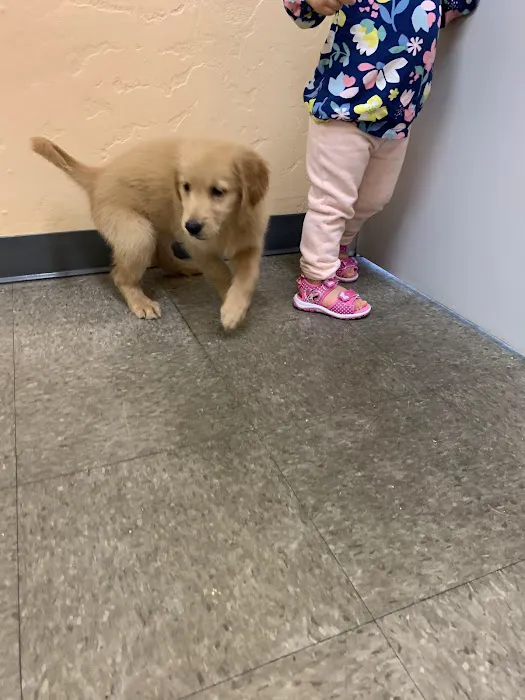 Paws and Perches Animal Hospital 4