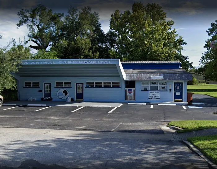 Bartow Main Street Low Cost Pet Hospital 10